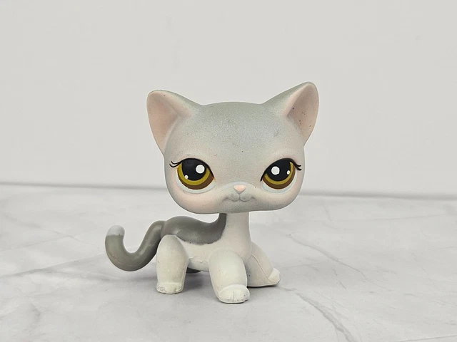 LPS #339 Shorthair cat Chat européen Authentique Littlest Pet Shop Hasbro - 148