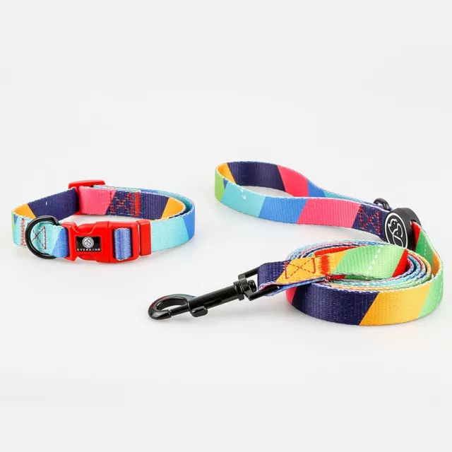 Dog Collar and Leash set, Adjustable, Size L