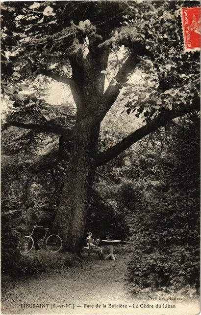 CPA Lieusaint - Parc de la Barriere - Le Cedre du Liban (1038431)