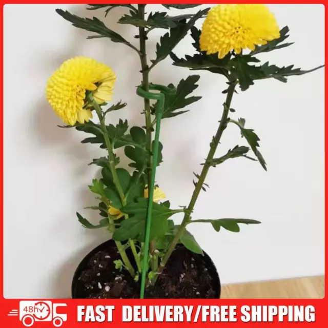 Single Stem Plant Support Stake Anti-Fall Leaf Guard Flower Stand Fibre Glass