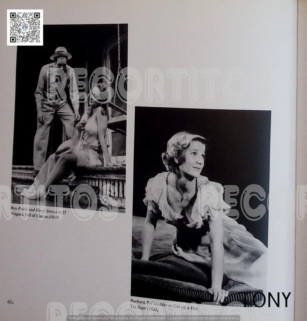 clipping BARBARA BEL GEDDES DALLAS cat on a zinc roof meryl streep