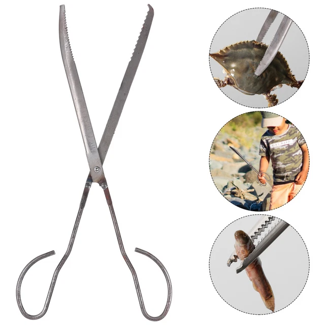 Set 2 Pinze Da Portata In Acciaio Inox Oro 22,9 Cm - Antiscivolo, Multiuso Per Buffet, BBQ, Pane E Insalata