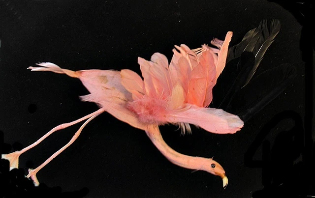 Pájaro flamenco rosa artificial vintage 05 para exhibición floral artesanal