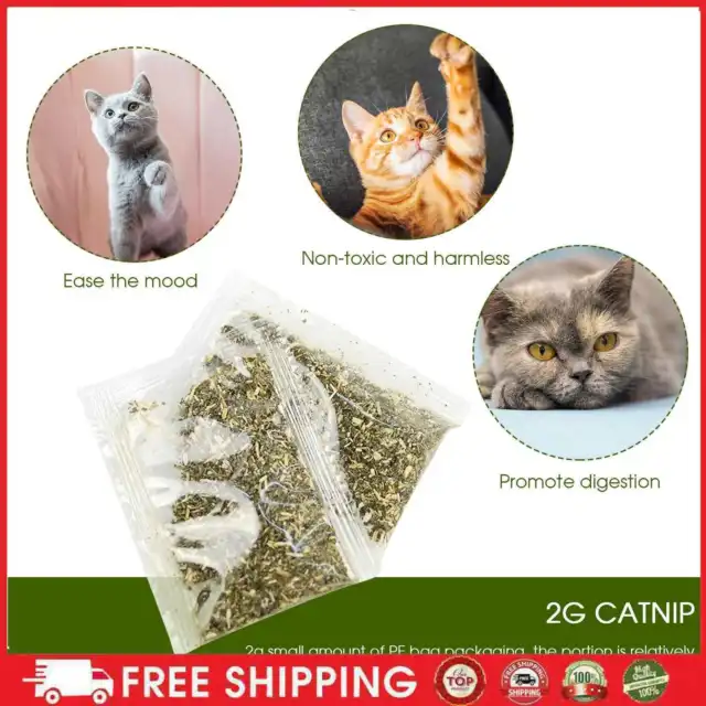 Borsa per erba gatta 2g per gatti, borsa in PE ricaricabile calmante Nepeta Cataria per gatti giocattoli