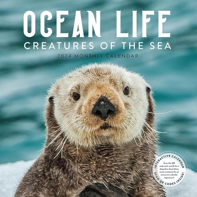 OCEAN WILDLIFE 2024 Wall Calendar Brand New 01250 £11.69
