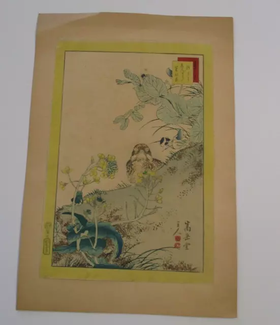 Nakayama Sugakudo   Antique Japanese Woodblock Print 1850'S 19TH CENTURY BIRD