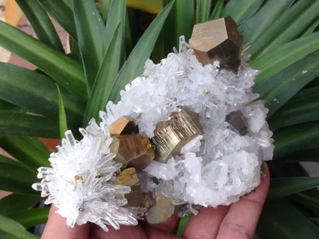 NEW FIND Pyrite cluster with Quartz on Matrix  *China