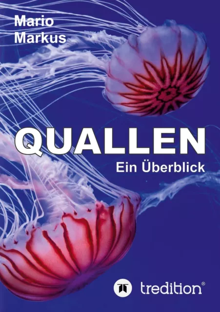 Quallen | Buch | 9783347408869