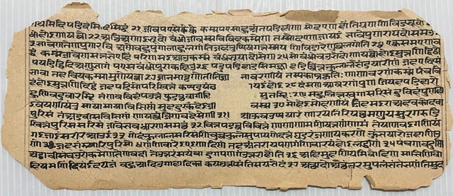 Vintage Sanskrit/Hindi Attractive Manuscript Interesting Leaf.