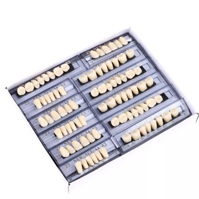 84pieces A3 Dental Synthetic Polymer Teeth Full Set Resin Denture Teeth Mater-tz