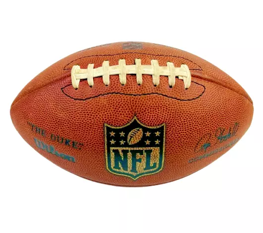 Wilson "The Duke" Official NFL Game Football RARE