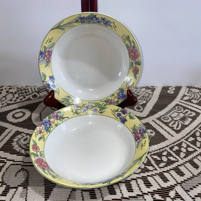 Sakura Creme Brulee Soup Bowls Set of 2 Sue Zipkin Designer 7 1/2"