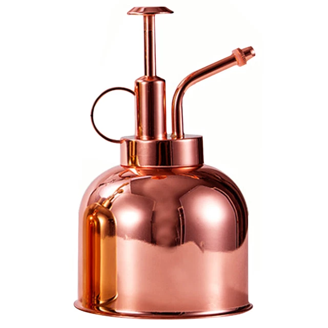 Spruzzatore 8L in Acciaio Inossidabile, Spruzzatore Manuale a Pompa, Spruzzatore da