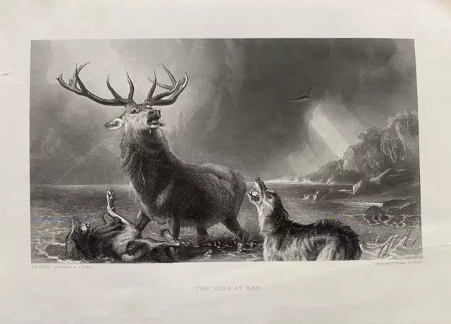 1879 Antique Print: The Stag at Bay after Edwin Landseer