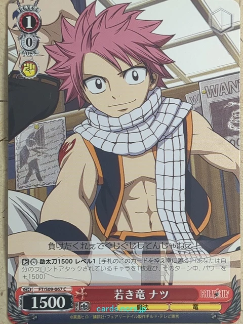 Cartes D'invitation Anniversaire Fairy Tail Avec Natsu - Lot De 5 Ou 12 - Modèle REF 343 - Neuf