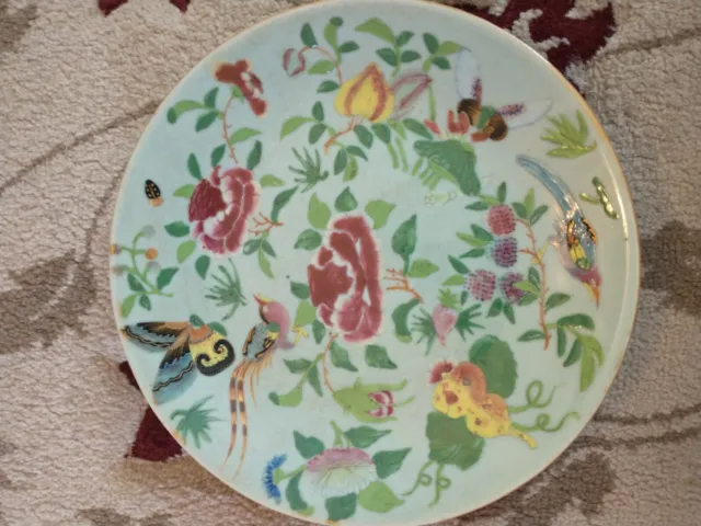Rare Antique 19th c. Chinese Export Porcelain Celadon Plate Bird Butterfly Peony