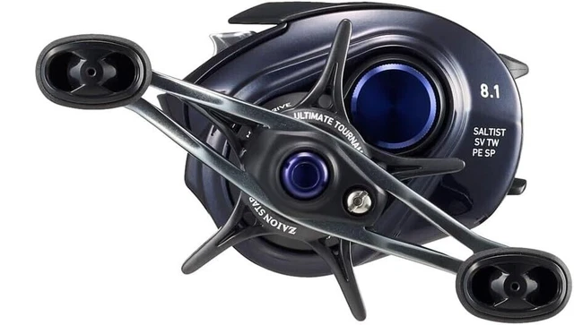 DAIWA SALTIST SV TW 80XH PE SPECIAL 【公式通販】