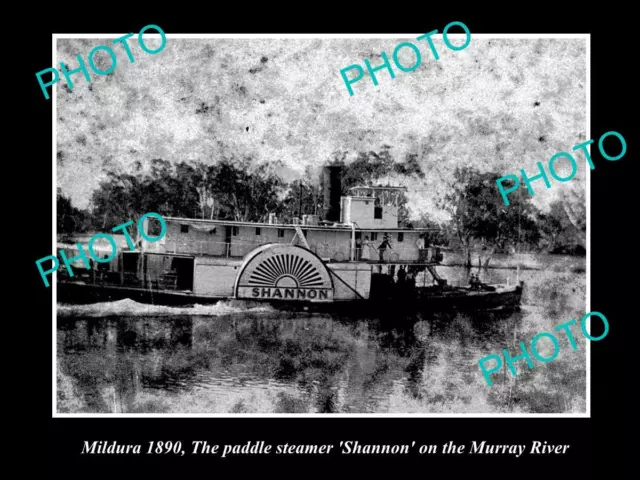 OLD 8x6 HISTORIC PHOTO OF MILDURA VICTORIA THE PADDLE STEAMER SHANNON c1890