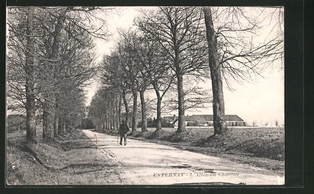 CPA Esternay, L´Allée du Château 1917