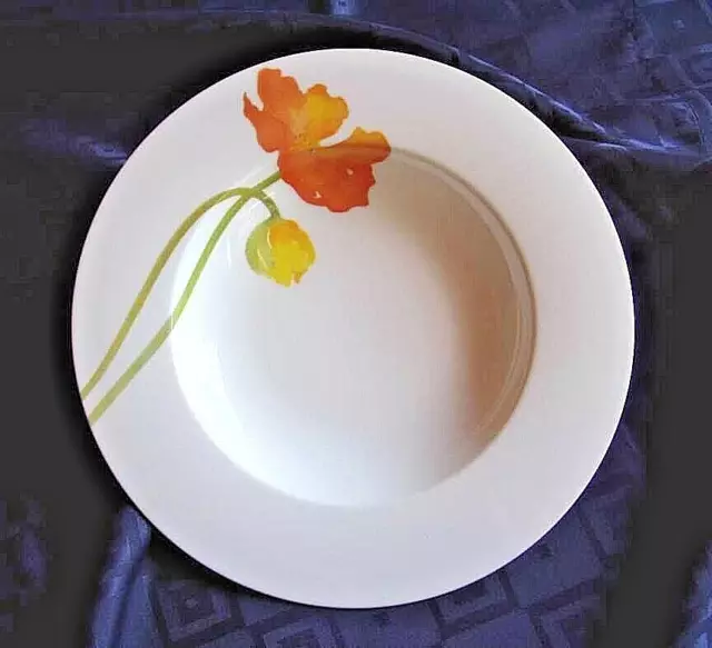 V&B ICELAND POPPIES  Suppenteller 24 cm  VILLEROY&BOCH   KEIN GALLO