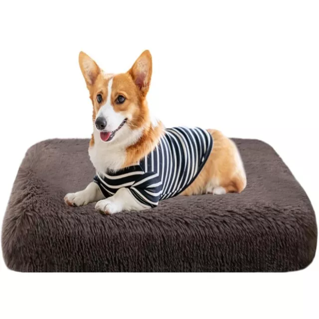 Dog Beds For Medium Memory Foam Size 30x20x4 Orthopedic Removable Cover Non-Slip
