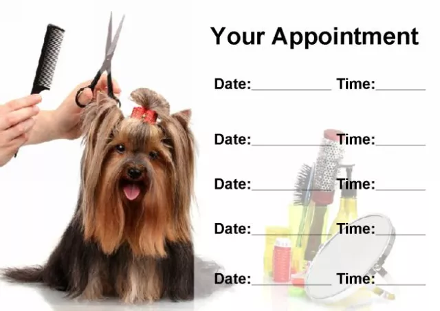Groomer Grooming Dog Personalised Appointment Cards