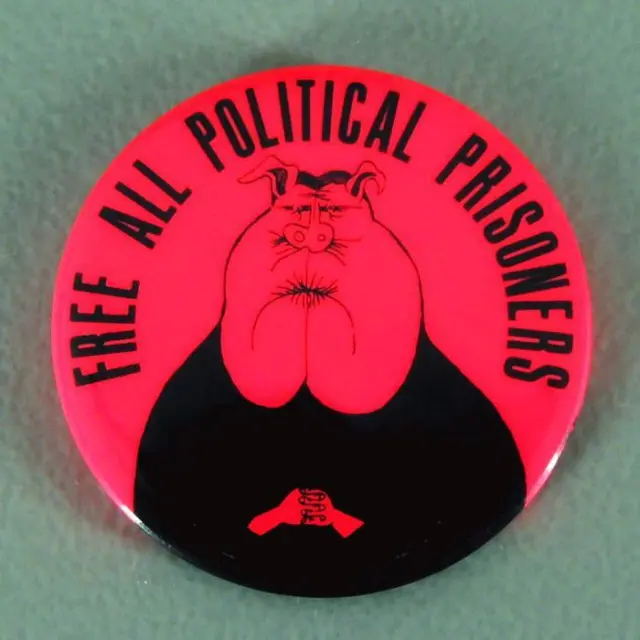 Free All Political Prisoners Black Panther Civil Rights Chicago Cause Pin Button