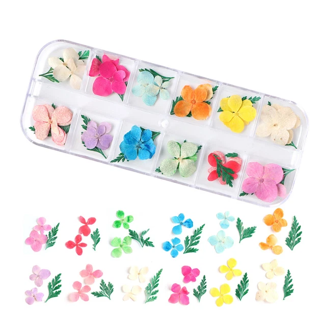 Adesivi nail art conservati tutti i match squisiti adesivi nail art regalo