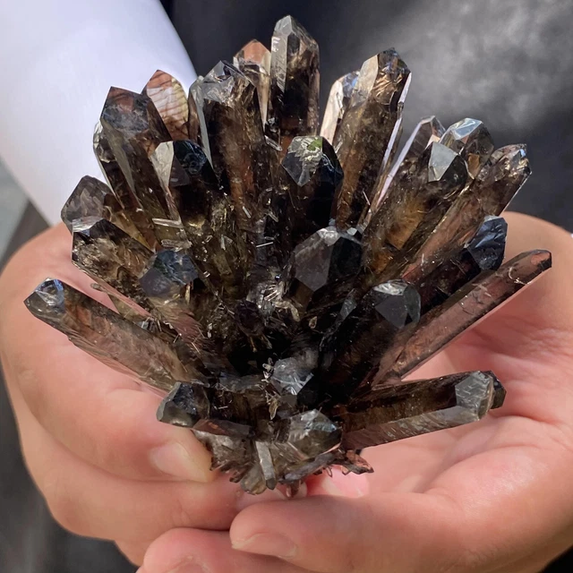 372G New Find black Phantom Quartz Crystal Cluster Mineral Specimen Healing