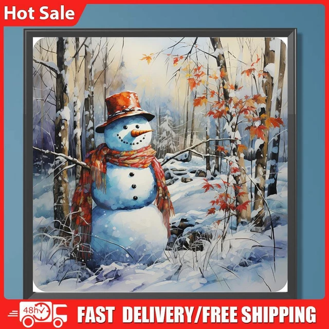 Paint By Numbers Kit DIY Oil Art Snowy Land Picture Home Wall Decor 40x40cm