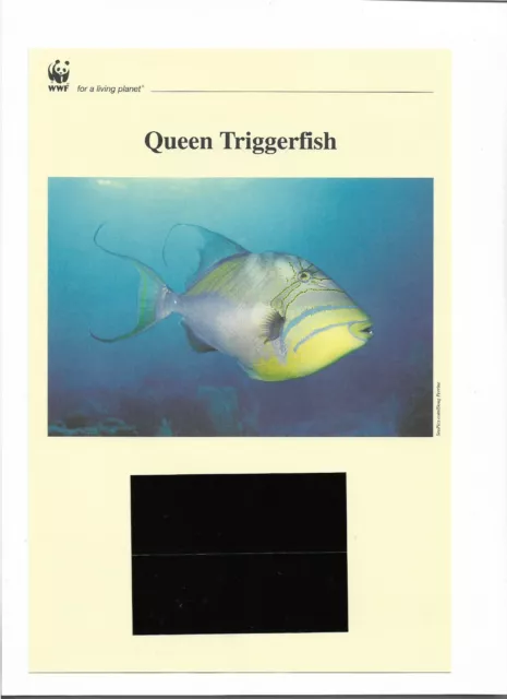 World Wildlife Fund Barbados 2006 Queen Triggerfish Stamp Set Wwf Living Planet