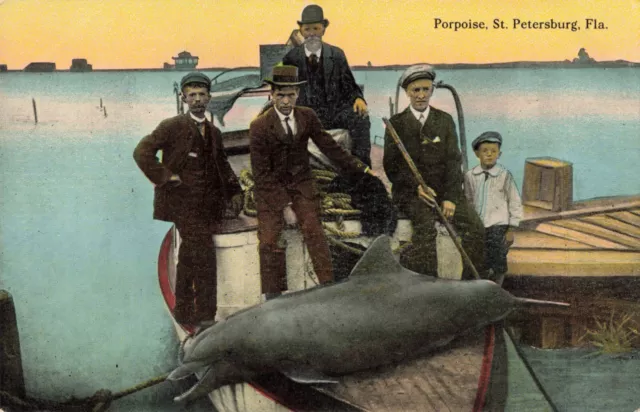 Porpoise St. Petersburg Florida FL Fishermen c1910 Postcard