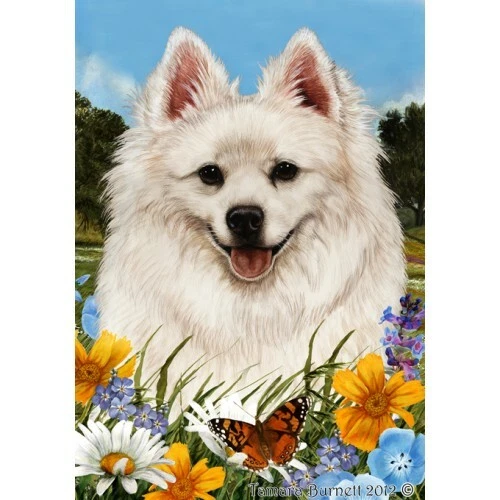 Summer Garden Flag - American Eskimo 181261