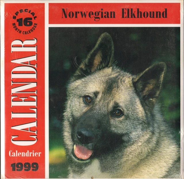 Norwegian Elkhound Dog Calendar unused 1999 good again 2027 color photos crafts!