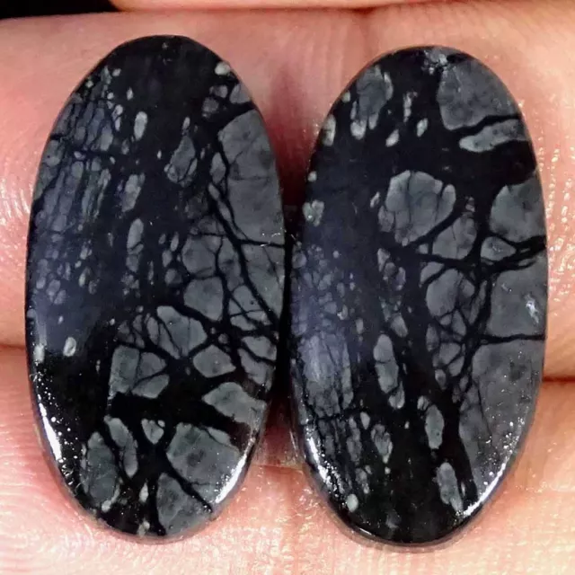 20.80Cts Natural Picasso Jasper Cabochon Loose Gemstone Oval Pair
