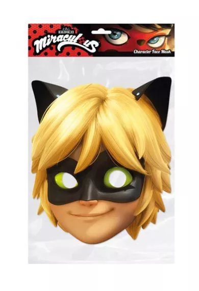 Life Size Cat Noir Miraculous Disney Cardboard Cutout