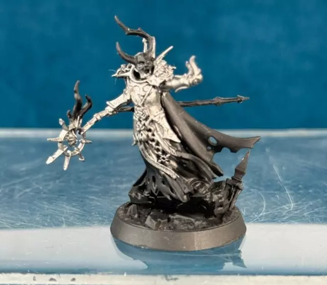 1X OOP Slaves To Darkness Warhammer Aos Sigmar PAINTED - LORD SORCERER #1