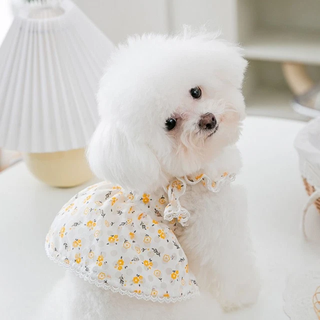 Printing Dog Hollow Skirt Cute Pet Vest New Dog Princess Dress for Spring