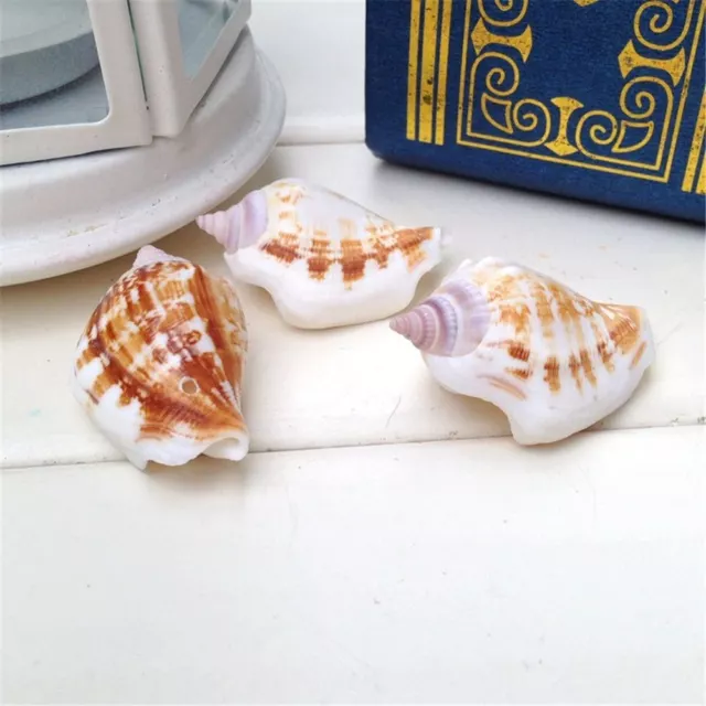 10pcs Natural Conch Ornament Seashell Fish Tank Beach Shell Nautical Decor 3-6cm