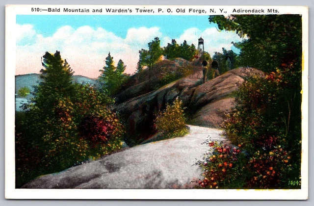 Old Forge New York Bald Mountain & Wardens Tower Adirondack Mts WB Postcard