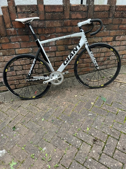 Giant omnium 2025 frameset