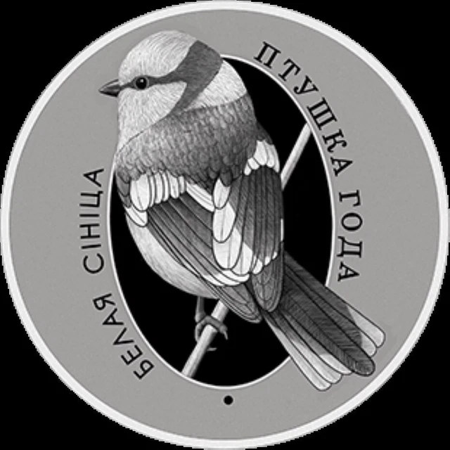 Belarus 1 Rubles 2022 White tit  Parus cyanus NiCu