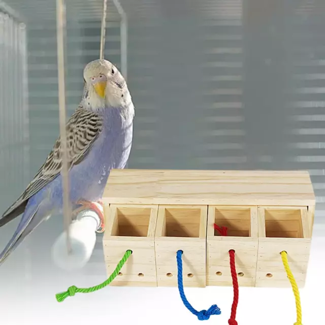 Papageienfutterbox Haustier Vogel Papagei Spielzeug Intelligenz Spielzeug für