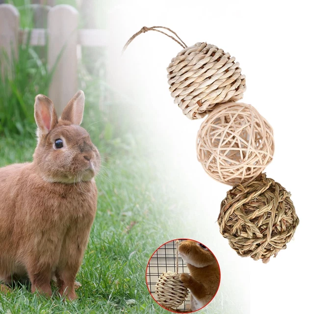 Juego para mascar animales pequeños, bolas de hierba, juguetes de conejo para conejos,