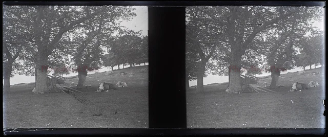 FRANCE Mont-Dol Bretagne 1928 Photo NEGATIVE Stereo Plaque de verre V26L7n