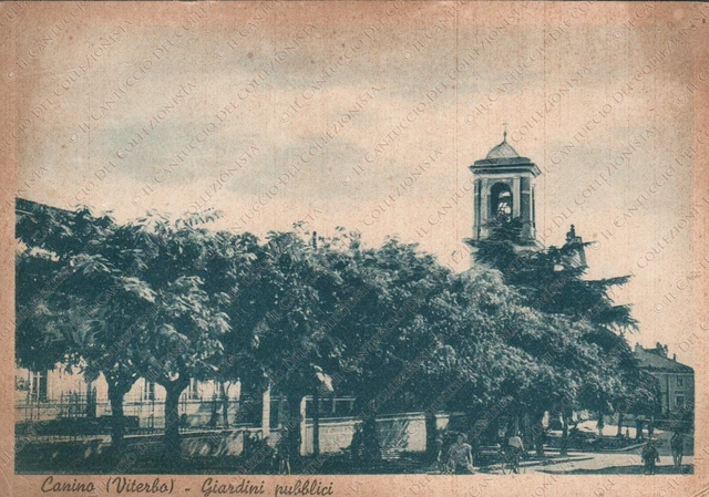 1953 CANINO Giardini pubblici campanile Viterbo Cartolina