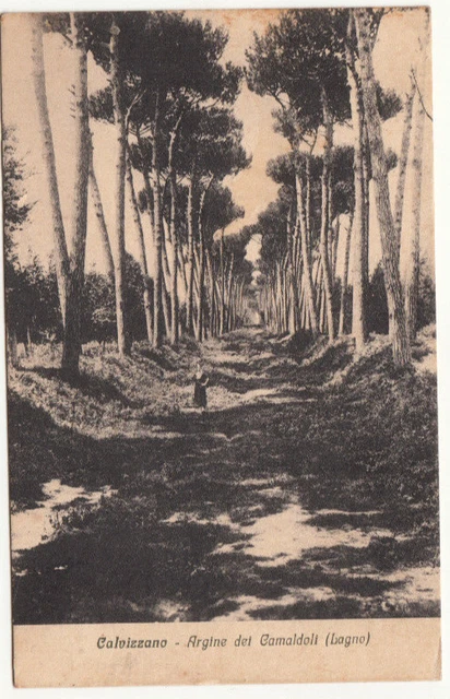 23-24112 - Napoli Calvizzano - Argine Dei Camaldoli Viaggiata 1933