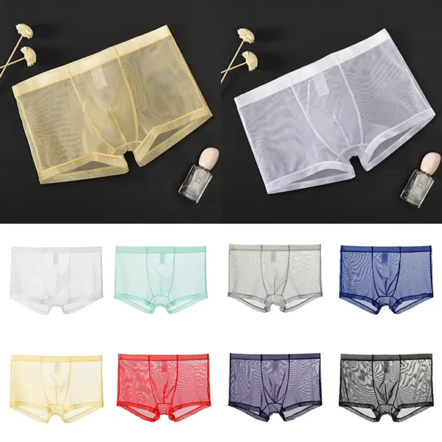 Sexy Mens Sheer See Through Boxer Briefs Underwear Mesh Shorts Trunks Underpants