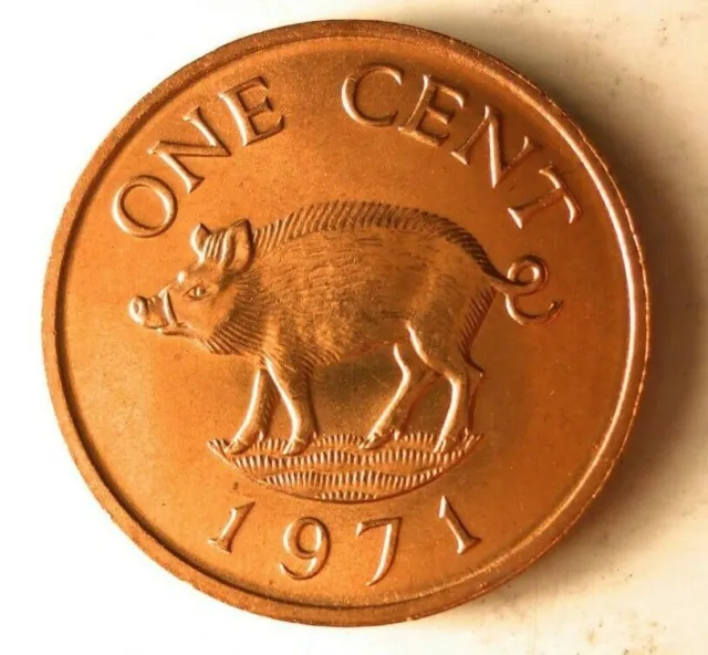 1971 Bermuda Cent - Wild Boar - Au/Unc Lot Qqq
