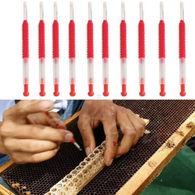 Beekeeping Shift Needle Moving Grafting Tools Bee Larva Feeding EquipR#km 2